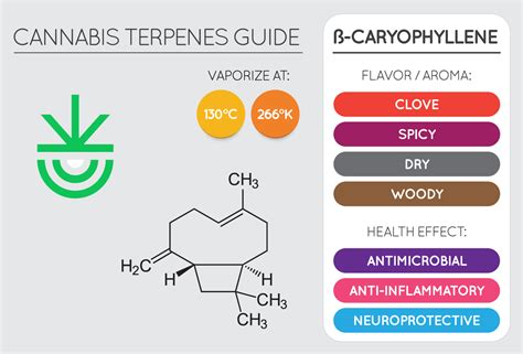 beta caryophyllene terpene|The Power of Terpenes: Beta.